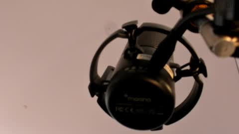      online show from March 2025 03:56:01 PM