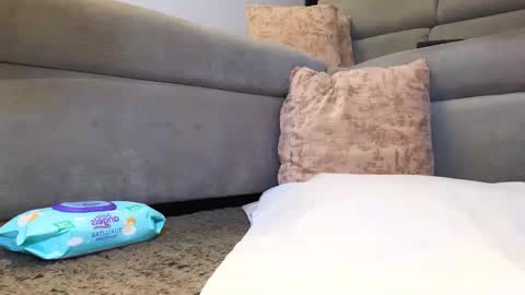 Snapshot of aneljones chatting on November 2025 04:01:02 AM Anell online show from November 2025 04:01:02 AM