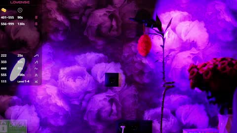 Snapshot of angeellina chatting on January 2025 05:20:02 PM angeellina online show from January 2025 05:20:02 PM