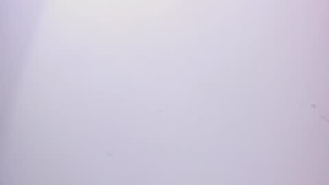 angel hardy online show from February 2025 03:17:02 PM