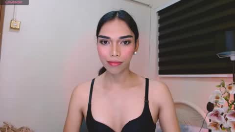 SENORITA online show from January 2026 03:45:01 AM