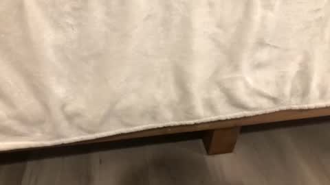 Snapshot of angeleliza0113 chatting on February 2026 06:32:01 AM Mira13 online show from February 2026 06:32:01 AM