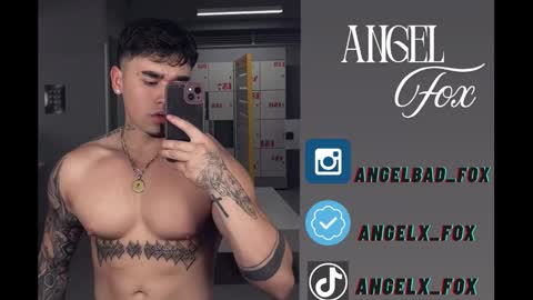 Angel Fox online show from September 2025 12:26:01 PM
