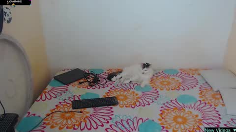 Angie y Andres online show from January 2025 01:11:01 PM