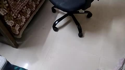 Tutu22 online show from January 2025 11:39:02 PM