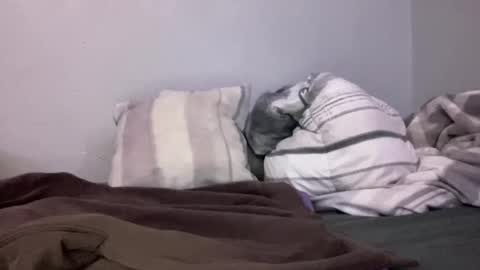 Animeboygirls online show from January 2025 05:05:01 AM