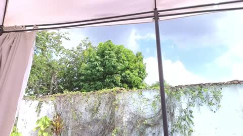 Snapshot of anna_joness chatting on December 2024 04:25:01 PM Anna online show from December 2024 04:25:01 PM