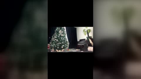 anna_nobel online show from December 2025 11:04:02 AM