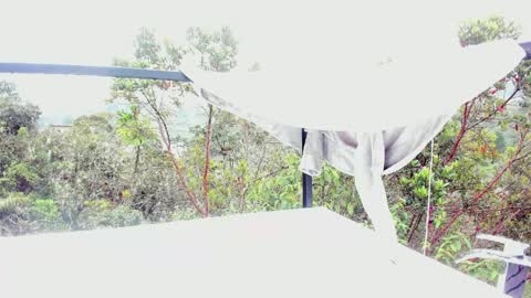  Anna Weells  online show from March 2026 02:29:01 PM