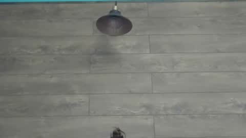 annasplash online show from March 2025 05:46:02 AM