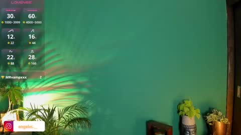 ANG  online show from February 2025 02:46:01 AM