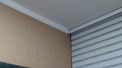       online show from January 2026 01:54:02 AM