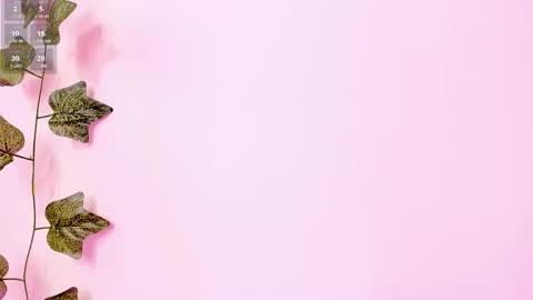 Anne online show from February 2025 09:23:02 PM