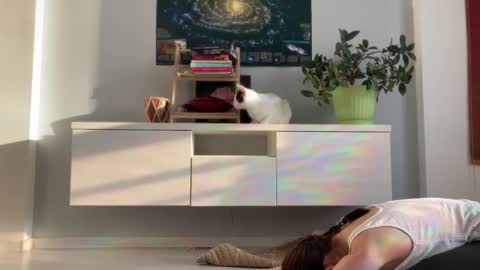 Snapshot of anntics_ chatting on September 2025 03:52:01 AM N antics online show from September 2025 03:52:01 AM