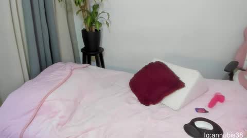 Snapshot of annubis_lia chatting on January 2025 06:46:01 AM SOFIA INDEPENDENT MODEL online show from January 2025 06:46:01 AM