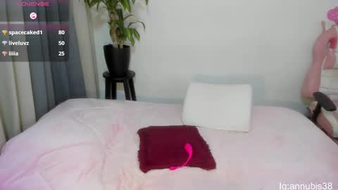 Snapshot of annubis_lia chatting on February 2025 07:21:01 AM SOFIA INDEPENDENT MODEL online show from February 2025 07:21:01 AM