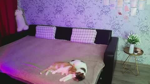 Snapshot of anny_shine chatting on December 2024 04:23:02 AM Annie online show from December 2024 04:23:02 AM