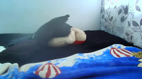 Snapshot of antonella0769 chatting on February 2025 05:09:01 PM ANTONELLA WILLIAM INDEPENDIENTE online show from February 2025 05:09:01 PM