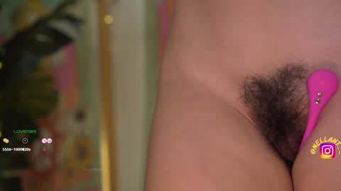 Nell. online show from December 2024 09:35:02 AM