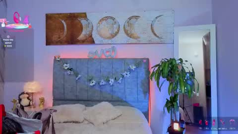  Antonella online show from February 2026 08:31:02 PM