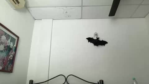 Antonia online show from December 2024 03:28:02 PM