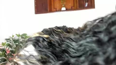 Antonia online show from March 2025 04:46:01 AM