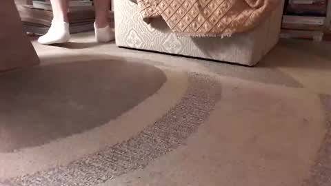 antonino85 online show from January 2025 02:36:01 AM