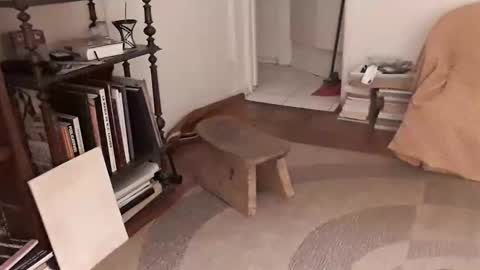 antonino85 online show from October 2025 10:10:02 PM