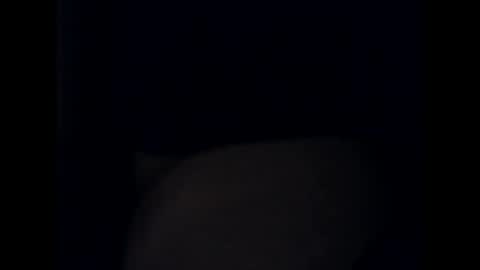 antxon12 online show from October 2025 10:54:02 PM