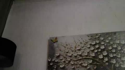 AnyBigTitts online show from March 2026 04:42:01 PM