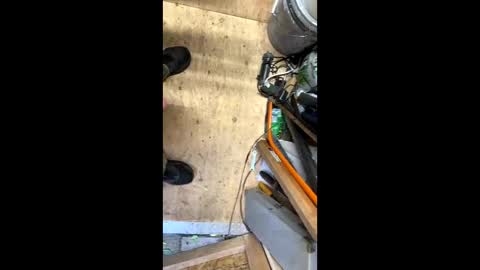 anyjuan online show from September 2025 06:57:01 PM