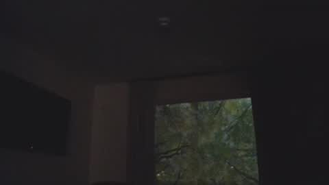 Daddy online show from November 2025 01:38:02 AM