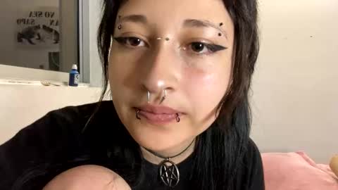 aoi_dandelion online show from December 2024 12:52:01 AM