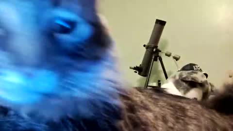 Aphrodite60 online show from January 2025 06:28:02 AM