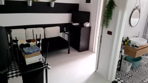 apollobest77 online show from January 2025 12:17:02 PM