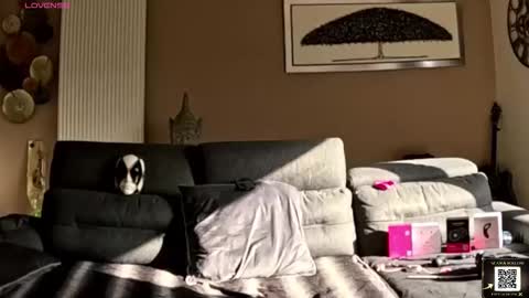 apollonfitx_69 online show from February 2026 01:53:02 PM