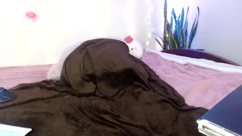 Apolo online show from December 2024 03:58:01 PM