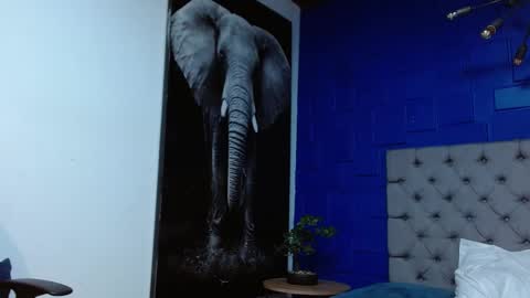 Snapshot of apolo_klein1 chatting on February 2025 06:56:01 AM Apolo online show from February 2025 06:56:01 AM