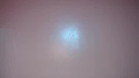 Snapshot of apple2561 chatting on May 2026 03:42:02 PM apple2561 online show from May 2026 03:42:02 PM