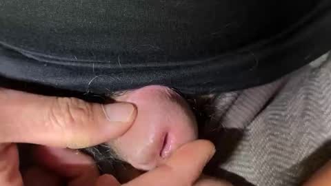 apple2761 online show from November 2025 03:05:01 AM