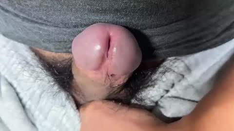 apple2761 online show from November 2025 04:15:01 AM