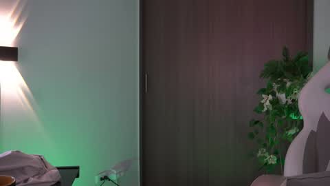 insta appolo master online show from December 2024 10:42:02 PM