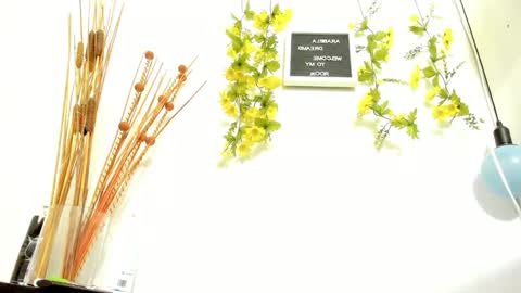 ARABELA online show from January 2025 01:21:02 AM