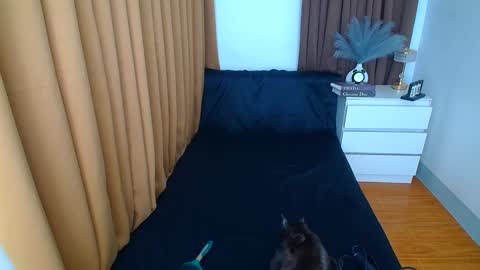 ARABELLA online show from March 2025 12:21:01 AM