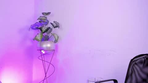   online show from January 2025 08:29:01 AM