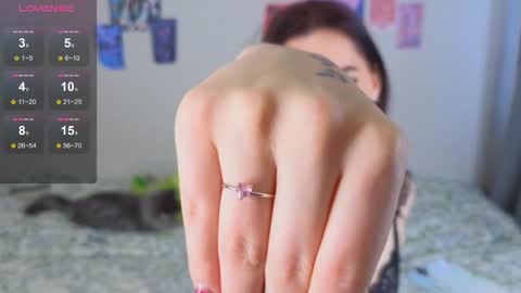 arcanedoll online show from January 2026 09:34:02 AM