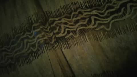 olo online show from November 2025 04:34:02 AM