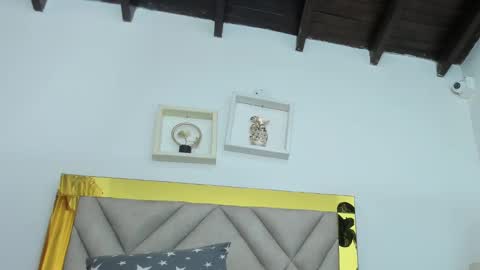  ARI  online show from December 2024 09:50:01 AM