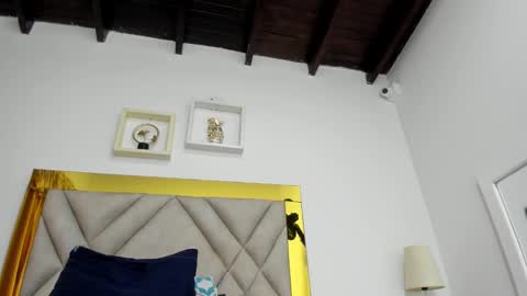  ARI  online show from January 2025 09:35:01 AM