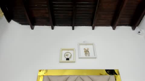  ARI  online show from March 2025 04:14:01 AM